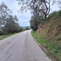Island in Greece, Ionian Islands, Corfu, 5000 sq.m.