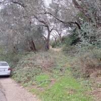 Island in Greece, Ionian Islands, Corfu, 5000 sq.m.