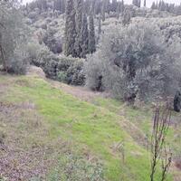 Island in Greece, Ionian Islands, Corfu, 708 sq.m.