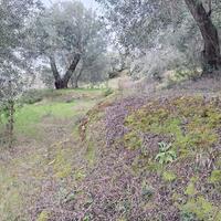 Island in Greece, Ionian Islands, Corfu, 708 sq.m.