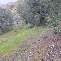 Island in Greece, Ionian Islands, Corfu, 708 sq.m.
