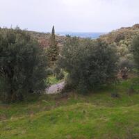 Island in Greece, Ionian Islands, Corfu, 708 sq.m.