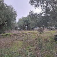 Island in Greece, Ionian Islands, Corfu, 1250 sq.m.