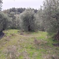 Island in Greece, Ionian Islands, Corfu, 1250 sq.m.