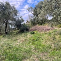 Остров в Греции, Ионические острова, Корфу, 7754 кв.м.
