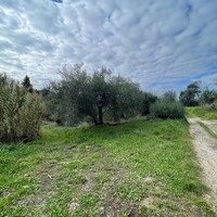 Остров в Греции, Ионические острова, Корфу, 7754 кв.м.