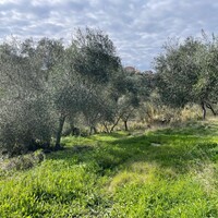 Остров в Греции, Ионические острова, Корфу, 7754 кв.м.