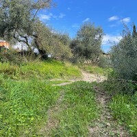 Остров в Греции, Ионические острова, Корфу, 7754 кв.м.
