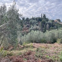 Остров в Греции, Ионические острова, Корфу, 7754 кв.м.