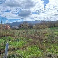 Остров в Греции, Ионические острова, Корфу, 5060 кв.м.