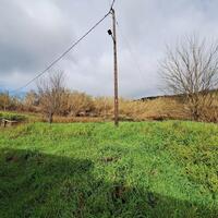 Остров в Греции, Ионические острова, Корфу, 2500 кв.м.