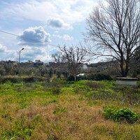 Остров в Греции, Ионические острова, Корфу, 7497 кв.м.