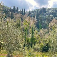 Island in Greece, Ionian Islands, Corfu, 91445 sq.m.