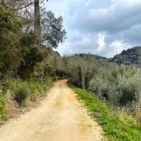 Island in Greece, Ionian Islands, Corfu, 91445 sq.m.