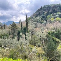 Island in Greece, Ionian Islands, Corfu, 91445 sq.m.