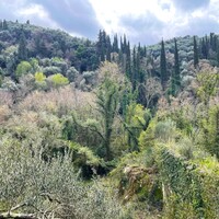 Island in Greece, Ionian Islands, Corfu, 91445 sq.m.