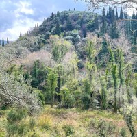Island in Greece, Ionian Islands, Corfu, 91445 sq.m.
