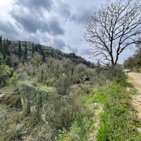 Island in Greece, Ionian Islands, Corfu, 91445 sq.m.