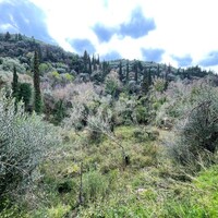 Island in Greece, Ionian Islands, Corfu, 91445 sq.m.