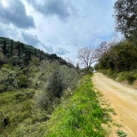 Island in Greece, Ionian Islands, Corfu, 91445 sq.m.