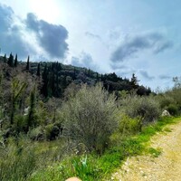 Island in Greece, Ionian Islands, Corfu, 91445 sq.m.