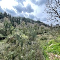 Island in Greece, Ionian Islands, Corfu, 91445 sq.m.