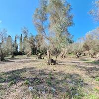 Island in Greece, Ionian Islands, Corfu, 3533 sq.m.