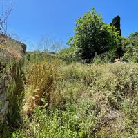 Island in Greece, Ionian Islands, Corfu, 430 sq.m.