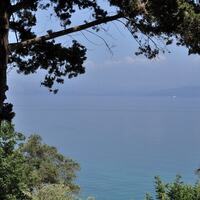 Island in Greece, Ionian Islands, Corfu, 5450 sq.m.