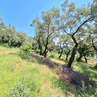 Island in Greece, Ionian Islands, Corfu, 8000 sq.m.