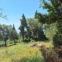 Island in Greece, Ionian Islands, Corfu, 8000 sq.m.