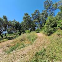 Island in Greece, Ionian Islands, Corfu, 8000 sq.m.