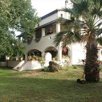 Other in Greece, Ionian Islands, Corfu, 310 sq.m.