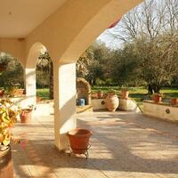 Other in Greece, Ionian Islands, Corfu, 310 sq.m.