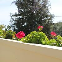 Other in Greece, Ionian Islands, Corfu, 280 sq.m.