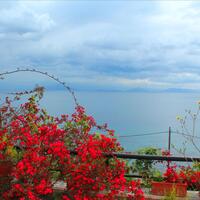 Other in Greece, Ionian Islands, Corfu, 240 sq.m.