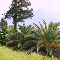 Other in Greece, Ionian Islands, Corfu, 240 sq.m.