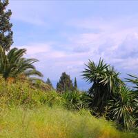 Other in Greece, Ionian Islands, Corfu, 240 sq.m.
