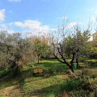 Other in Greece, Ionian Islands, Corfu, 256 sq.m.