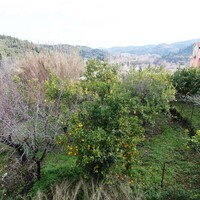 Other in Greece, Ionian Islands, Corfu, 256 sq.m.