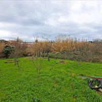 Other in Greece, Ionian Islands, Corfu, 275 sq.m.
