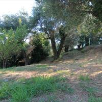 Other in Greece, Ionian Islands, Corfu, 380 sq.m.