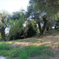 Other in Greece, Ionian Islands, Corfu, 380 sq.m.