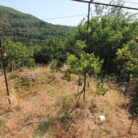 Other in Greece, Ionian Islands, Corfu, 240 sq.m.