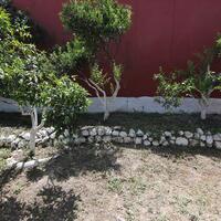 Other in Greece, Ionian Islands, Corfu, 300 sq.m.