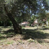 Other in Greece, Ionian Islands, Corfu, 300 sq.m.