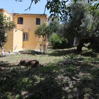 Other in Greece, Ionian Islands, Corfu, 300 sq.m.