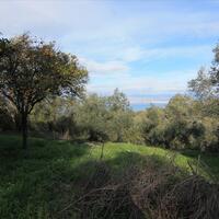 Other in Greece, Ionian Islands, Corfu, 130 sq.m.