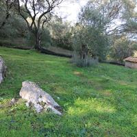 Other in Greece, Ionian Islands, Corfu, 130 sq.m.