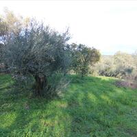Other in Greece, Ionian Islands, Corfu, 130 sq.m.